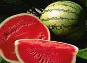 Արտագաղթ՝ ձմերուկի դարդից