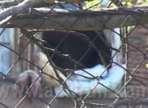 Окруженное с 4 сторон село отрезано от внешнего мира