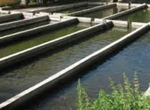 Ձկնաբուծարանները տարեկան մինչև 1 միլիարդ խմ բարձրորակ խմելու ջուր են խլում