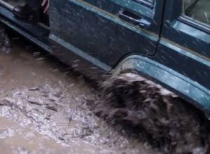 Автомобиль в грязи