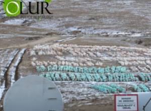 Жители Гндеваза требуют прекратить эксплуатацию Амулсарского месторождения