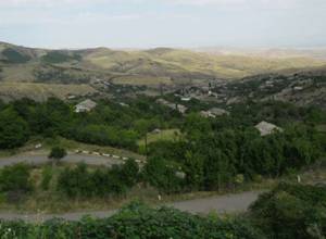 Azeris opened fire on cattle grazing near border village cemetery 