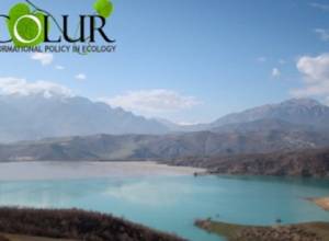 ZCMC Tailing Dumps Costing 10 Billion USD To Be Processed - EcoLur