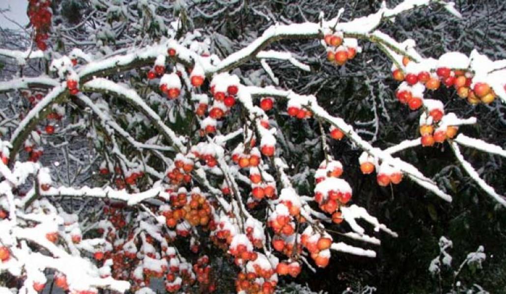 e58b01420c4f7d5fae4e1c14517d196f