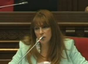 Микрофон Заруи Постанджян отключили