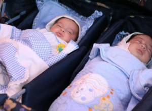 478 babies were born- 253 boys and 225 girls