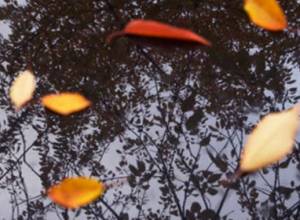 Occasional rains expected in Armenia from Sunday 