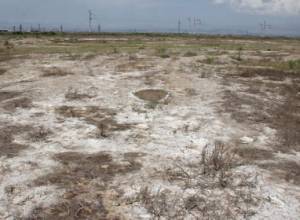 Մեղրիի հողերը դեռ կմնան անմշակ