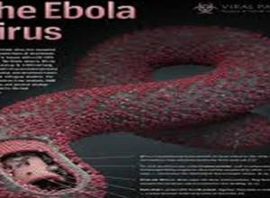 Ebola endangers Armenia?