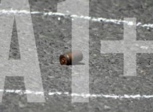 Vernissage shooting case is already in court