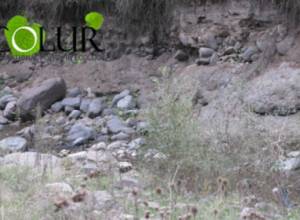  SHPPs have an influence on forests: EcoLur