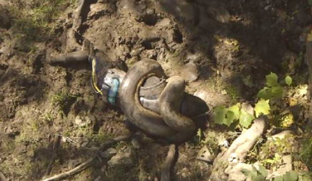 a1d5eafbf432274474ee2a2da64a43e2