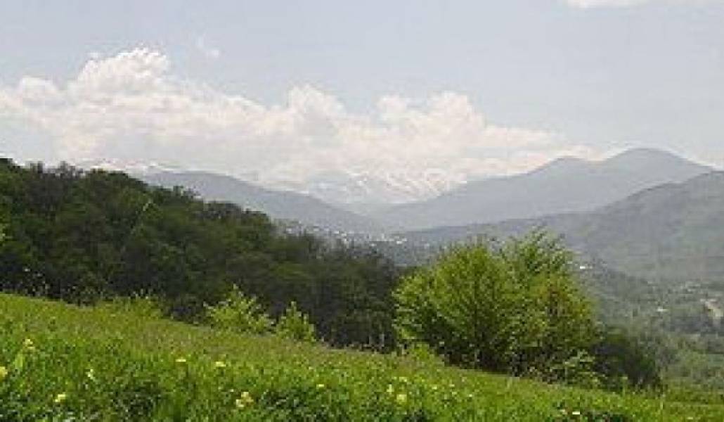 e6ac85b53b631e1b4a3929b0b8003438