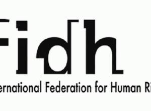 Call connected with the case of Perinçek: balance between freedom of expression and the fight against hate speech