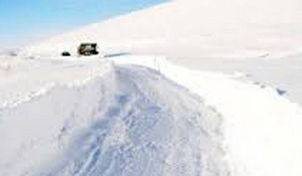 1a710c38445622bc4bb6d77126c796c5