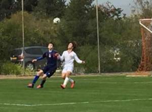 Հայաստանի հավաքականը հաղթեց Վրաստանին