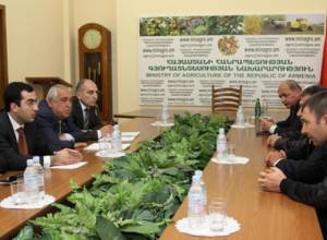 Պտուղբանջարեղենի արտահանման  ընթացակարգերի փոփոխություն է եղել