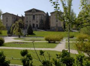 100 trees to be planed in NA yard