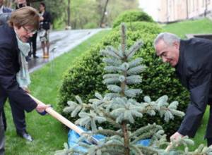 Анн Брассер приняла участие в посадке ели