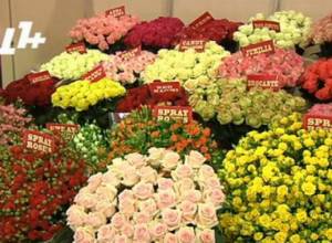 Made in Armenia: Some businessmen have problem of exportation