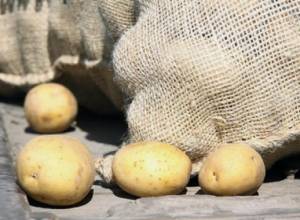 Ներկրվել է շուրջ 3000 տոննա  հոլանդական կարտոֆիլի տնկանյութ