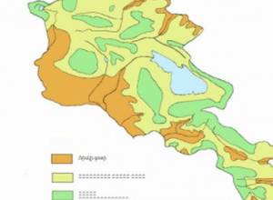 Около 50 %  Армении опустынивается