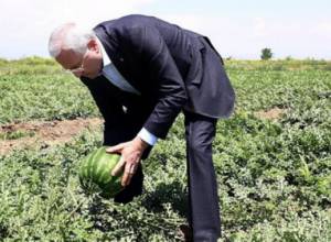 Արմավիրի մարզում  բերքահավաք է. գյուղնախարարը հետևել է