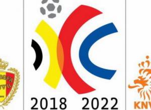 Բելգիայի ֆուտբոլի ֆեդերացիան 4,5 մլն եվրո կպահանջի ՖԻՖԱ-ից