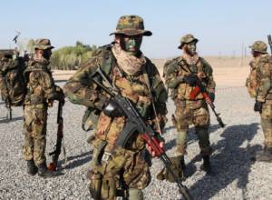 “People urgently learn to swim in Azerbaijan”: specialist on Azerbaijani studies