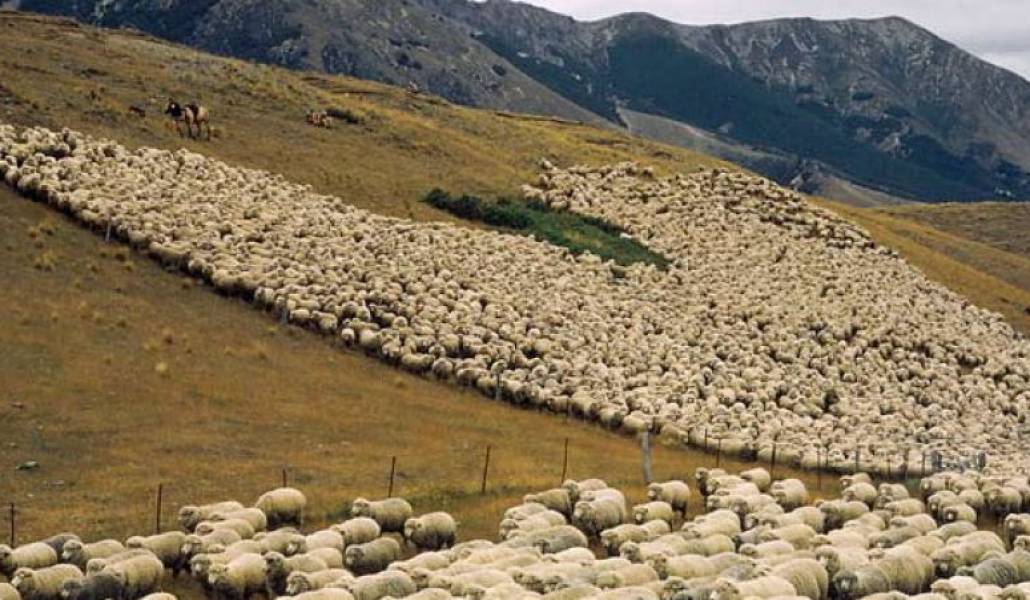 faf221478dc2eb5662e9e63e1fb74249