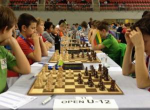 Մամիկոն Ղարիբյանը միանձնյա առաջատար է