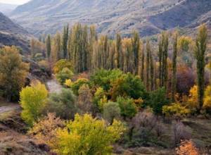 Բնապահպանության նախարարության օտարերկրյա դրամաշնորհները