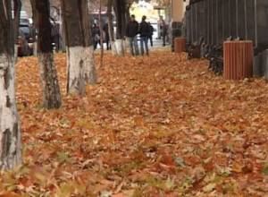 Через 2 дня зафиксируем первые заморозки: Метеоролог