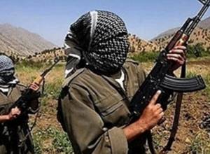 Struggle against IS should be continued by land routes