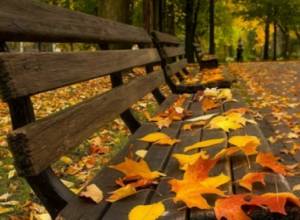 Температура воздуха  понизится на 5-7 градусов