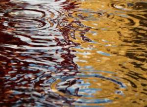 В ближайшие дни ожидаются осадки