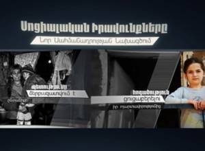 Draft constitution and social rights