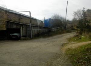 Residents of border village grow bananas and kiwis