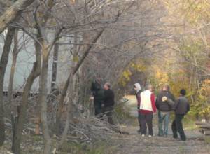 Trees cut down near territory of Tsitsernakaberd