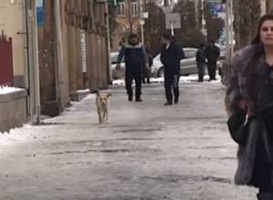 «Ժողովրդի խաթրն առնելու համար էսօր գոնե ճամփեքի սառույցը մաքրեին». վանաձորցի