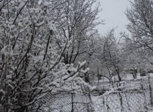 Внимание: Новый Год с погодными сюрпризами