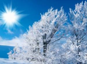 Прогноз погоды в Ереване на ближайшие 5 дней