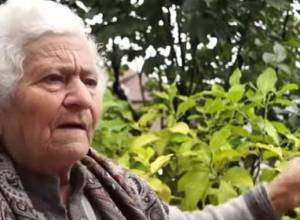 «В нижнем ряду деревни все умерли от опухоли, дети рождаются больными»