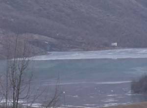 Засохло ореховое дерево: ущерб хвостохранилища