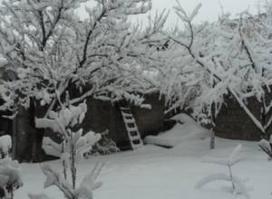 Ереван под снегом: фотографии