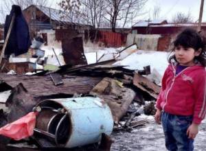 «Գյումրին օր առաջ պետք է ազատել դոմիկներից». Շիրակ կենտրոն