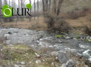 Արձանագրված շոու, թե հանրային քննարկում. ԷկոԼուր