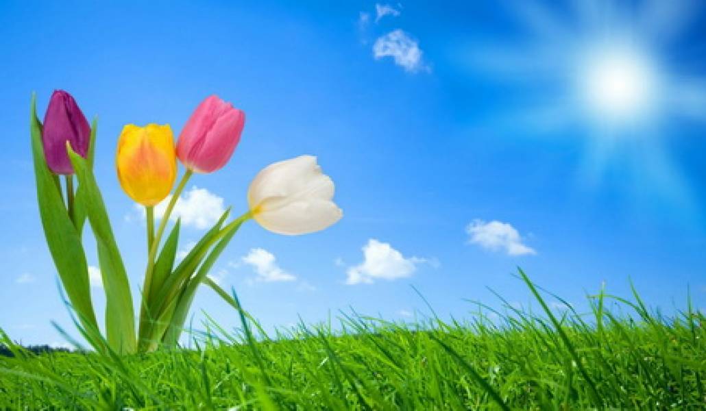 naekran_ru_Vesennyaya_priroda_1920_6399