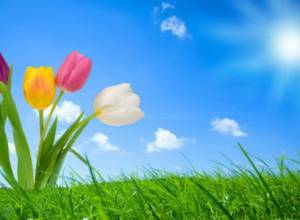 Температура воздуха понизится