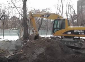 More trees cut down in Yerevan
